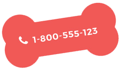 https://fireteamk9s.com/wp-content/uploads/2019/09/text_number_01-1.png