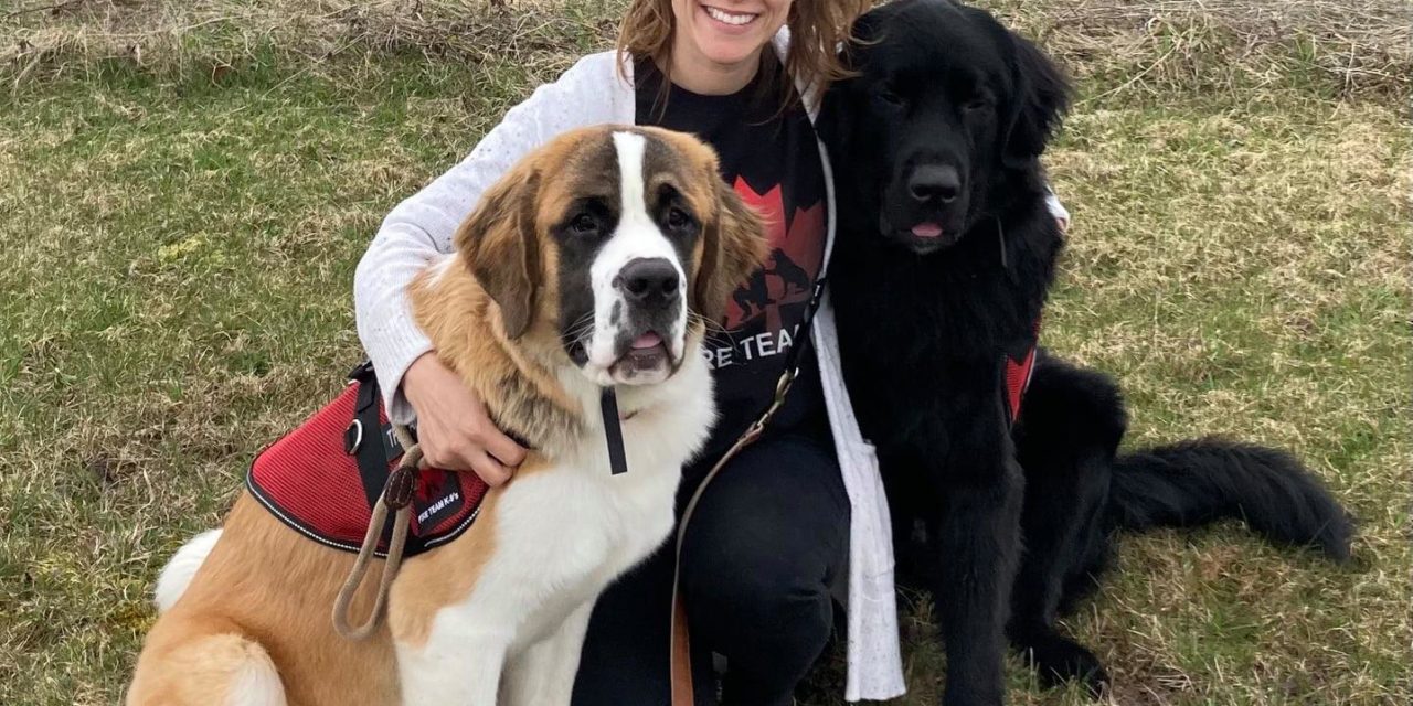 Ralph and Hachi graduate as Therapy Dogs