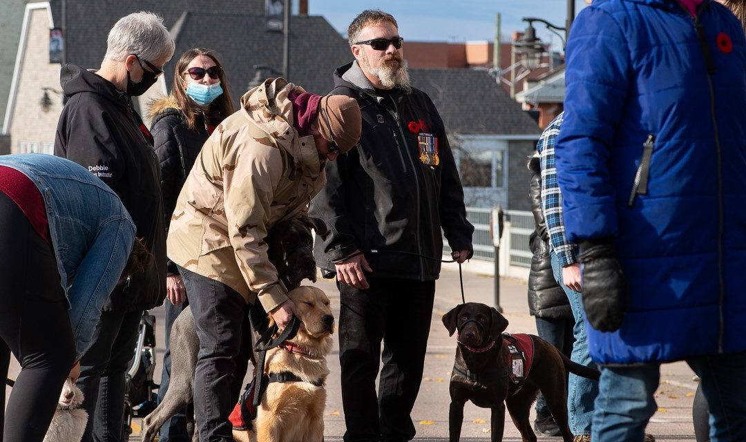 Sleep, Safety, and Recovery: The Role of Psychiatric Service Dogs