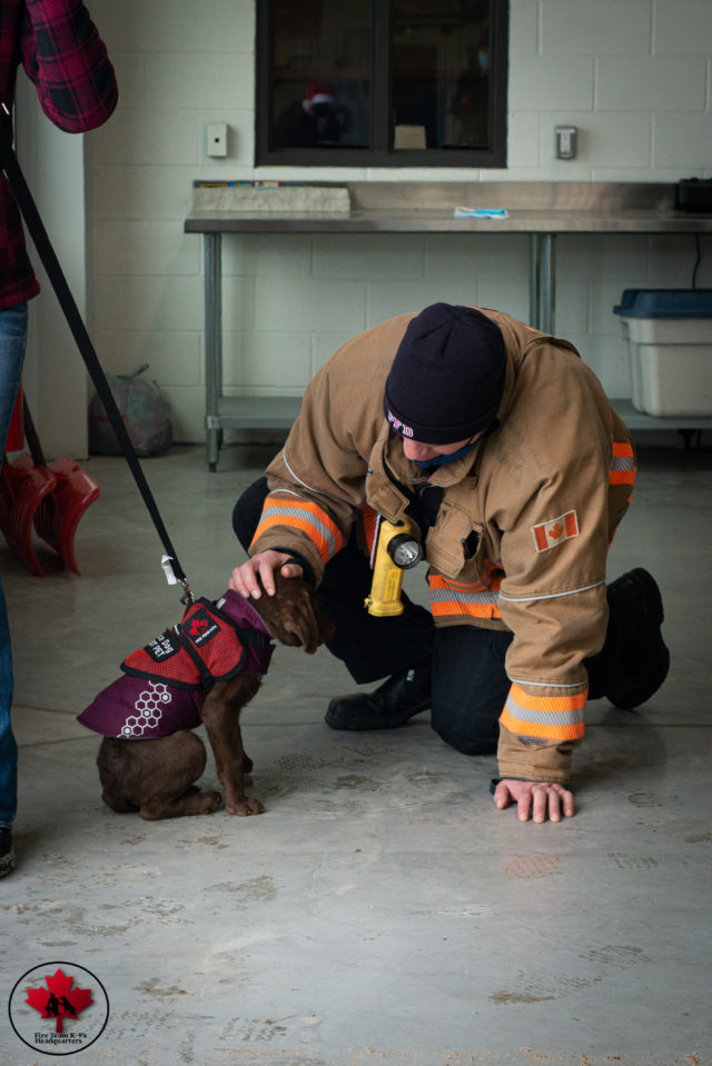 CTV News reports on Fire Team K9’s