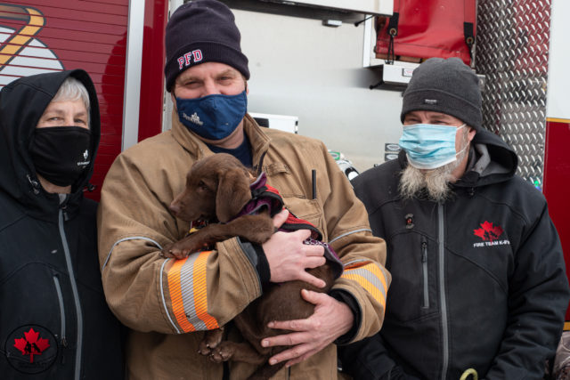 firefighters and dogs