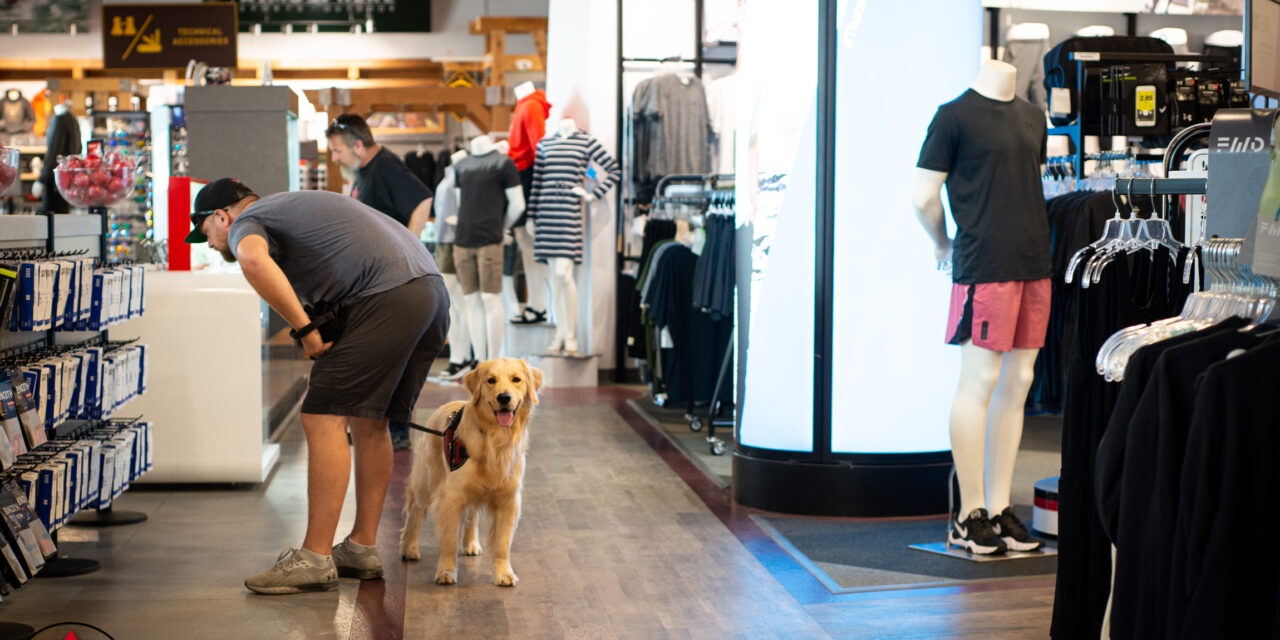 Learning to Adapt: Psychological Flexibility Through Dog Training