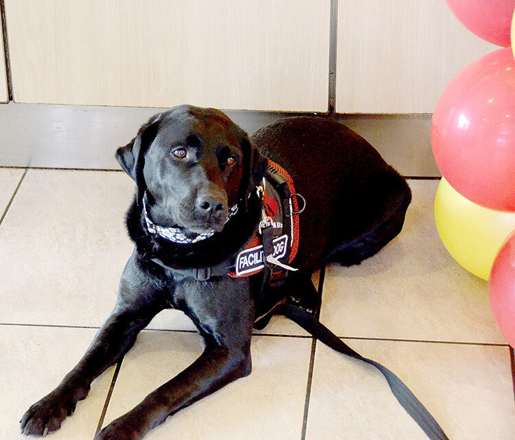 FTK9 Facility Dog Daisy in the spotlight
