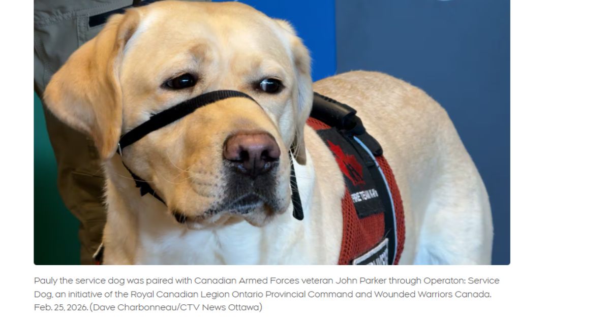 Wounded Warriors, Legion mark milestone of pairing 100 service dogs with veterans