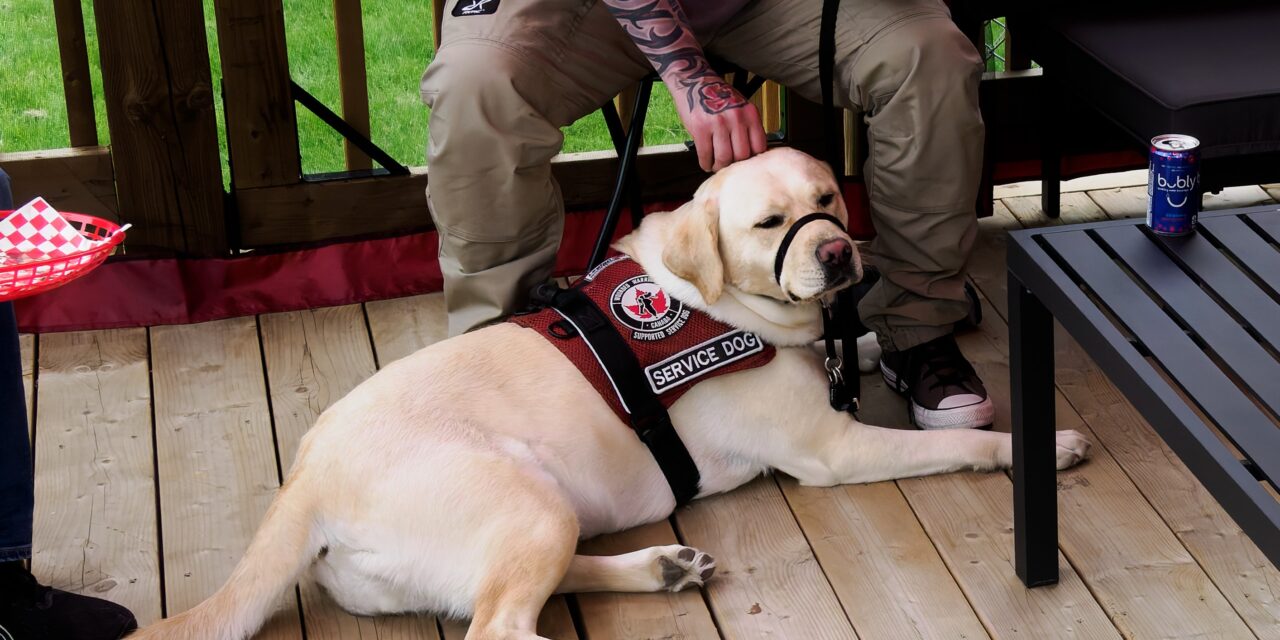 Can Facility Dogs Help First Responders Connect With Mental Health Professionals?