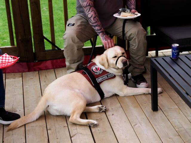 Can Facility Dogs Help First Responders Connect With Mental Health Professionals?