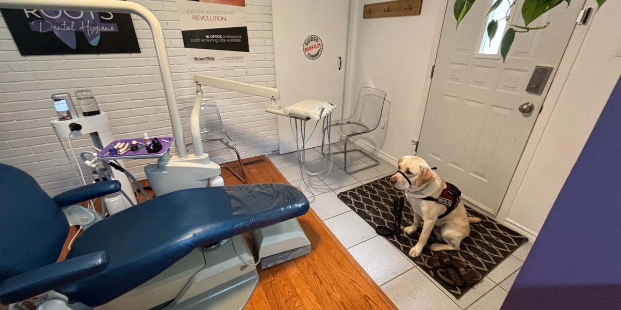 A Facility Dog Joins a Hospital Mental Health Team: Inside New York’s PAWS to HEAL Program