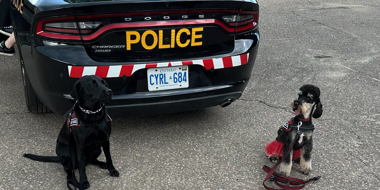 What Difference Can 11 Minutes Make? Therapy Dogs and Workplace Stress in Policing