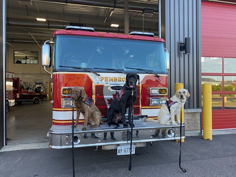 What Makes Workplace Mental Health Support Accessible? Lessons From a Police Therapy Dog Program