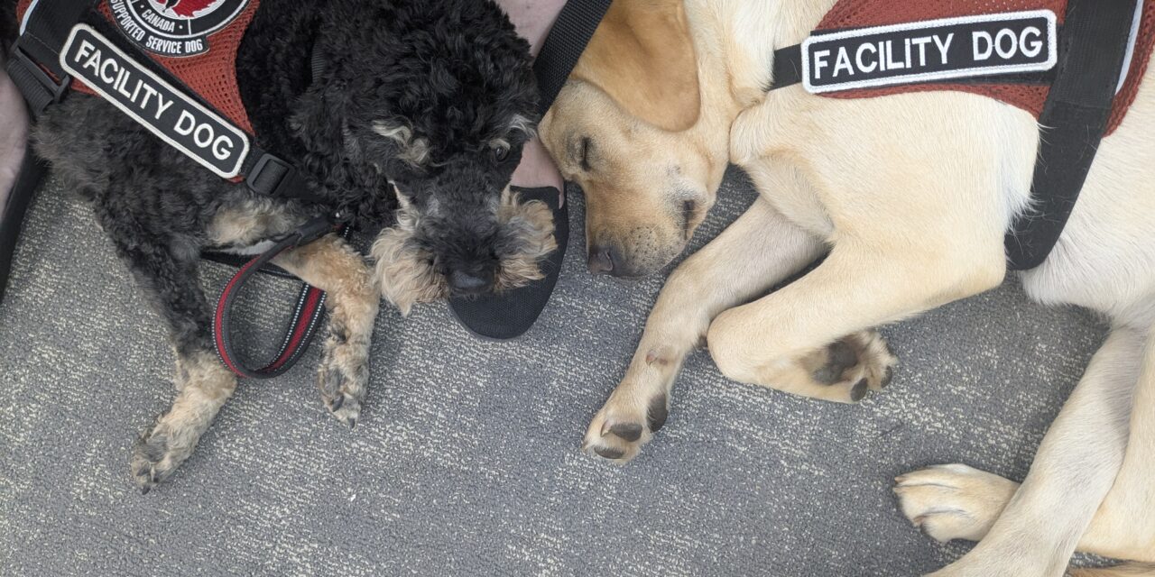 Why Police Employees Valued Their Therapy Dog Visits: Findings From Eight RCMP Interviews